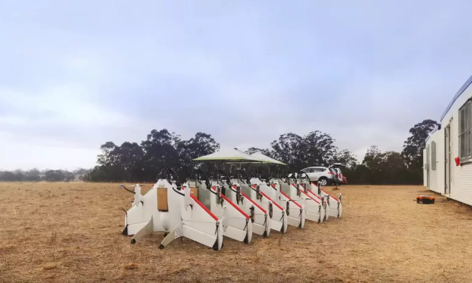 Chariots de golf alignés en plein air.